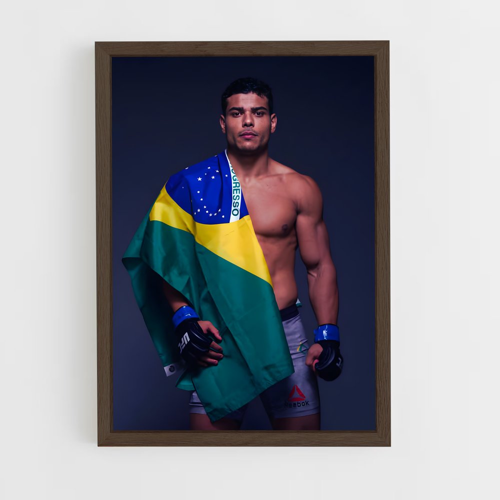 Poster Le Drapeau de la Liberté – affiche MMA (vue 5)